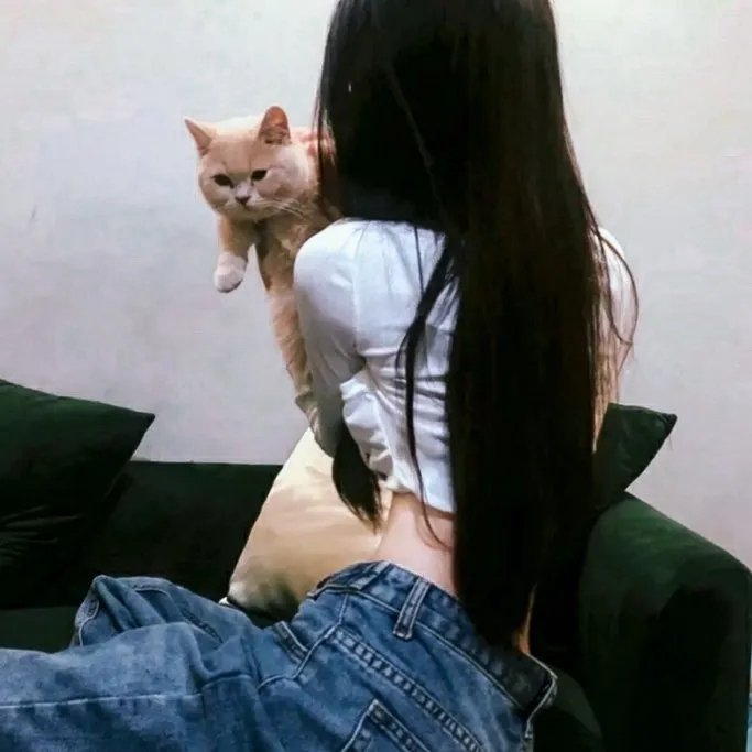 欲望之翼