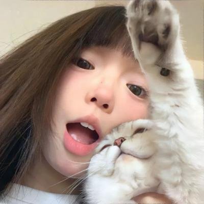 无畏警官